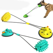 Smart Dog Suction Cup Tug of War Dog - Tutuky