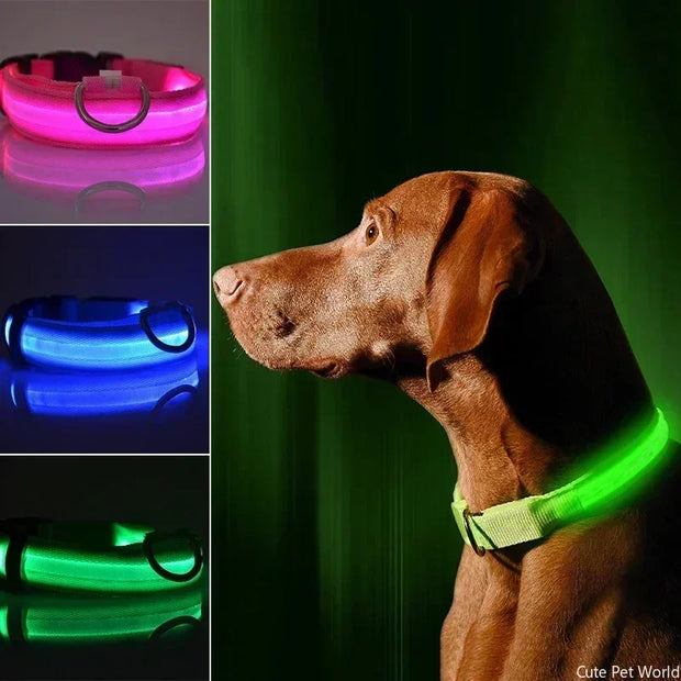 Pet Dog LED Glowing Collar - Tutuky