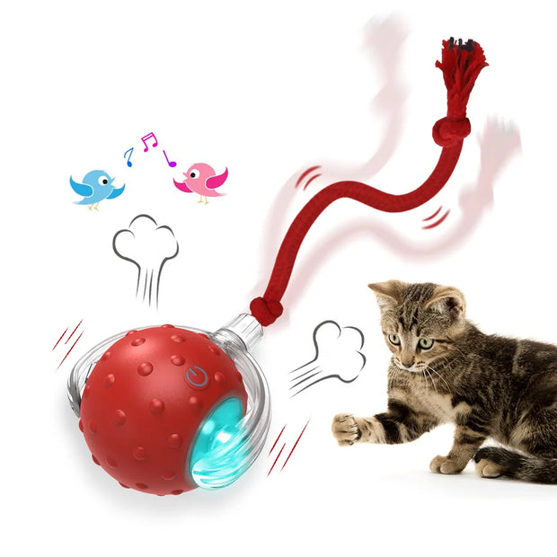 Interactive ball with string for cats - Tutuky