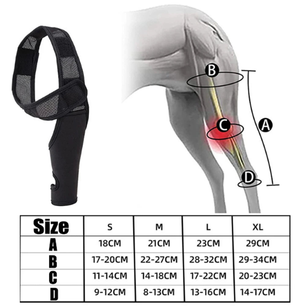 Universal Dog Hip & Knee Brace - Tutuky