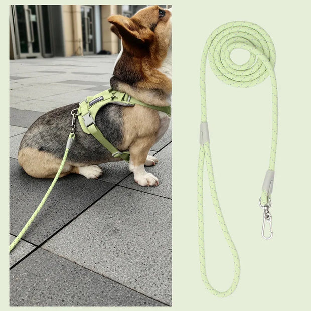 150cm Dog Leash - Tutuky