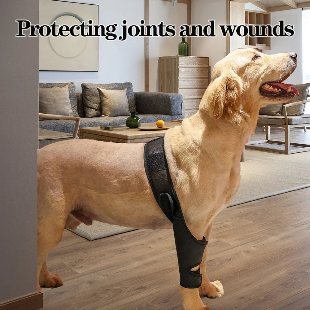 Universal Dog Hip & Knee Brace - Tutuky