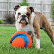 Kick Fetch Ball - Tutuky