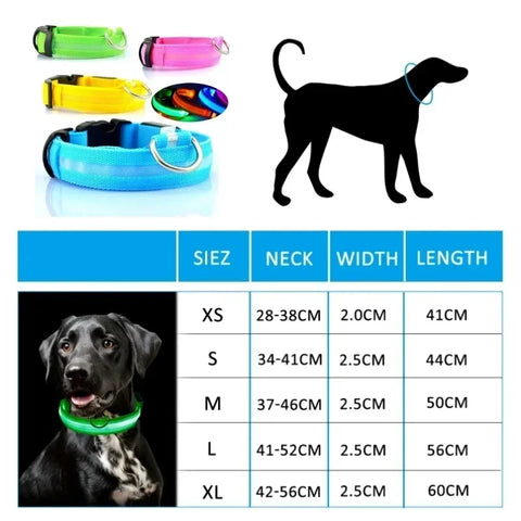 Pet Dog LED Glowing Collar - Tutuky