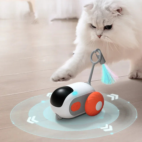 Smart  Remote rechargeable Toy - Tutuky