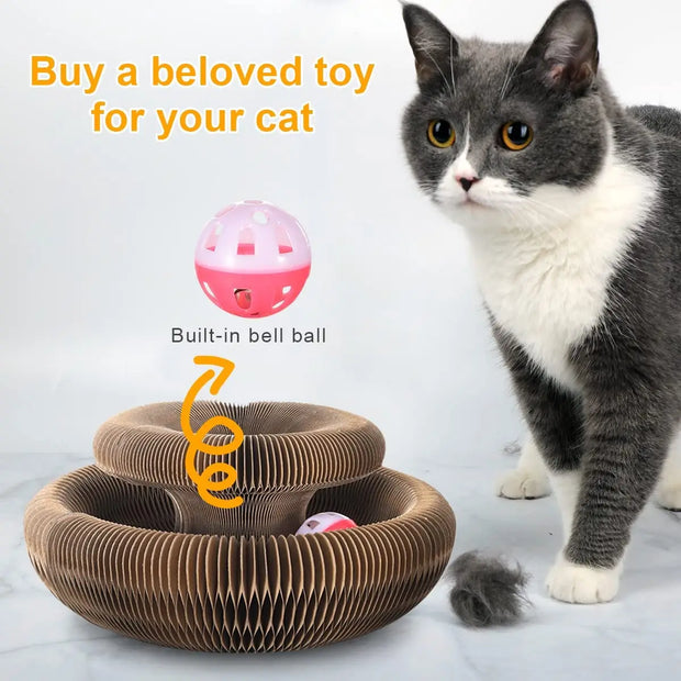 Magic Organ Cat Toy Scratcher - Tutuky