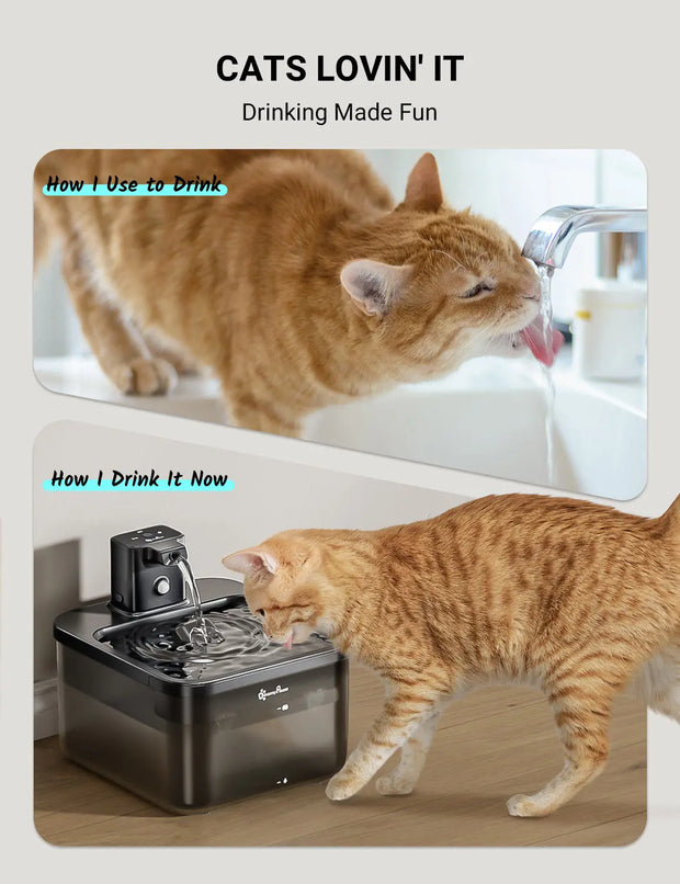 DownyPaws Wireless Cat 2,5L Water Fountain - Tutuky