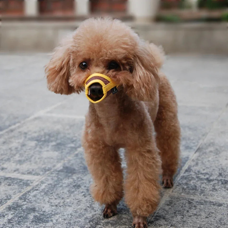 Anti Barking Nylon Muzzle Pet Mouth Muzzles for Dogs - Tutuky
