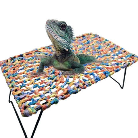 Reptiles Hammock Pad - Tutuky