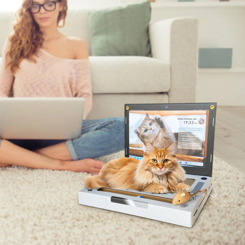 Cat Scratch Laptop - Tutuky