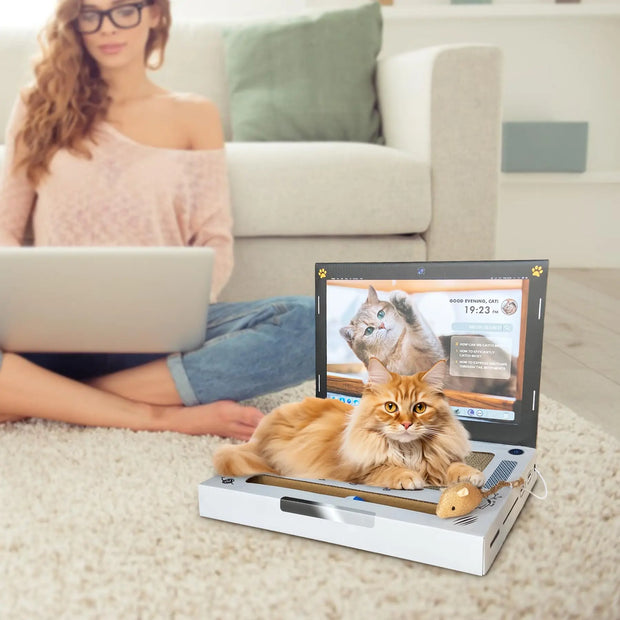 Cat Scratch Laptop - Tutuky