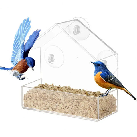 Suction Cup Bird Feeder - Tutuky