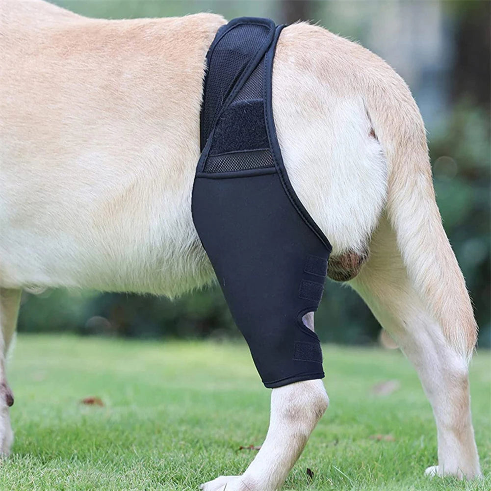 Universal Dog Hip & Knee Brace - Tutuky