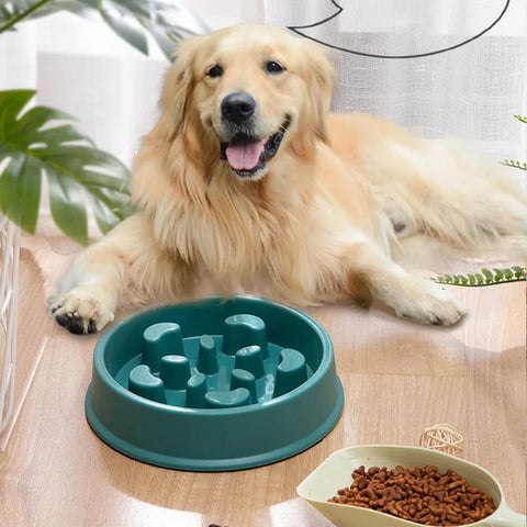 Pet Slower Food Bowl - Tutuky