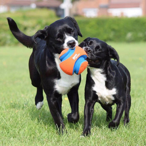 Kick Fetch Ball - Tutuky