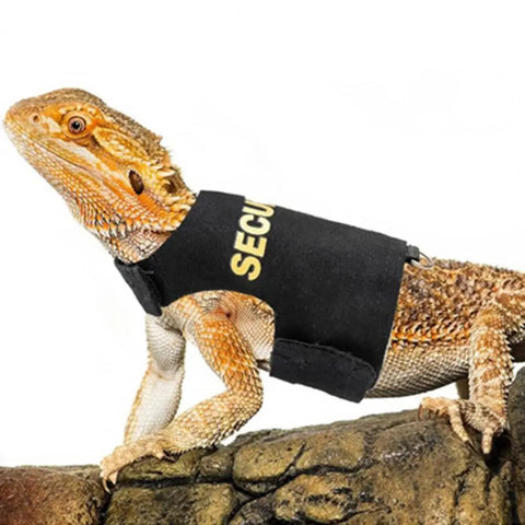 Lizard Leash Harness - Tutuky