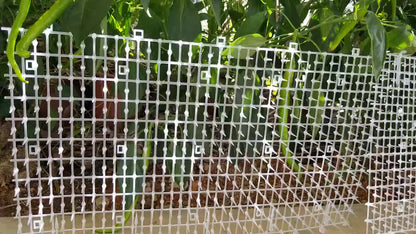 78.74 Inch Anti-Cat Thorn Net - Tutuky