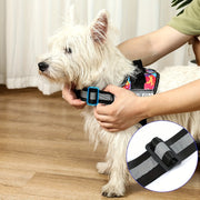 Adjustable Pet Harness With Handle For Easy Walking And Training - Tutuky