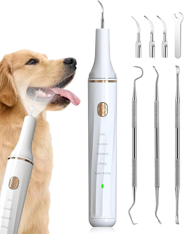 Dental Scaler for Pets - Tutuky