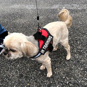 Pet Harness With Breathable Mesh - Tutuky