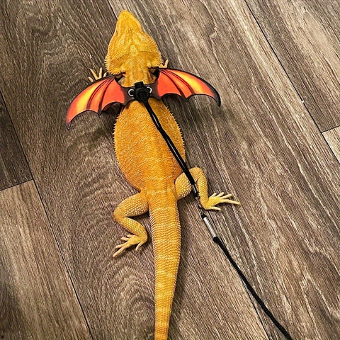 Adjustable Lizard Harness And Leash Set - Faux Leather Wings - Tutuky