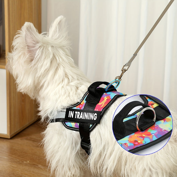 Adjustable Pet Harness With Handle For Easy Walking And Training - Tutuky