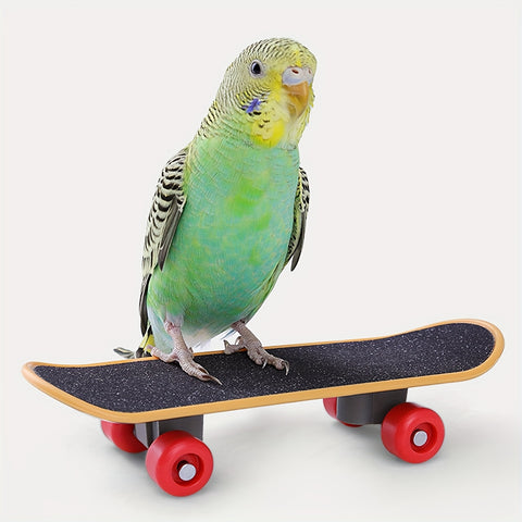 Bird Skateboard Toy - Tutuky