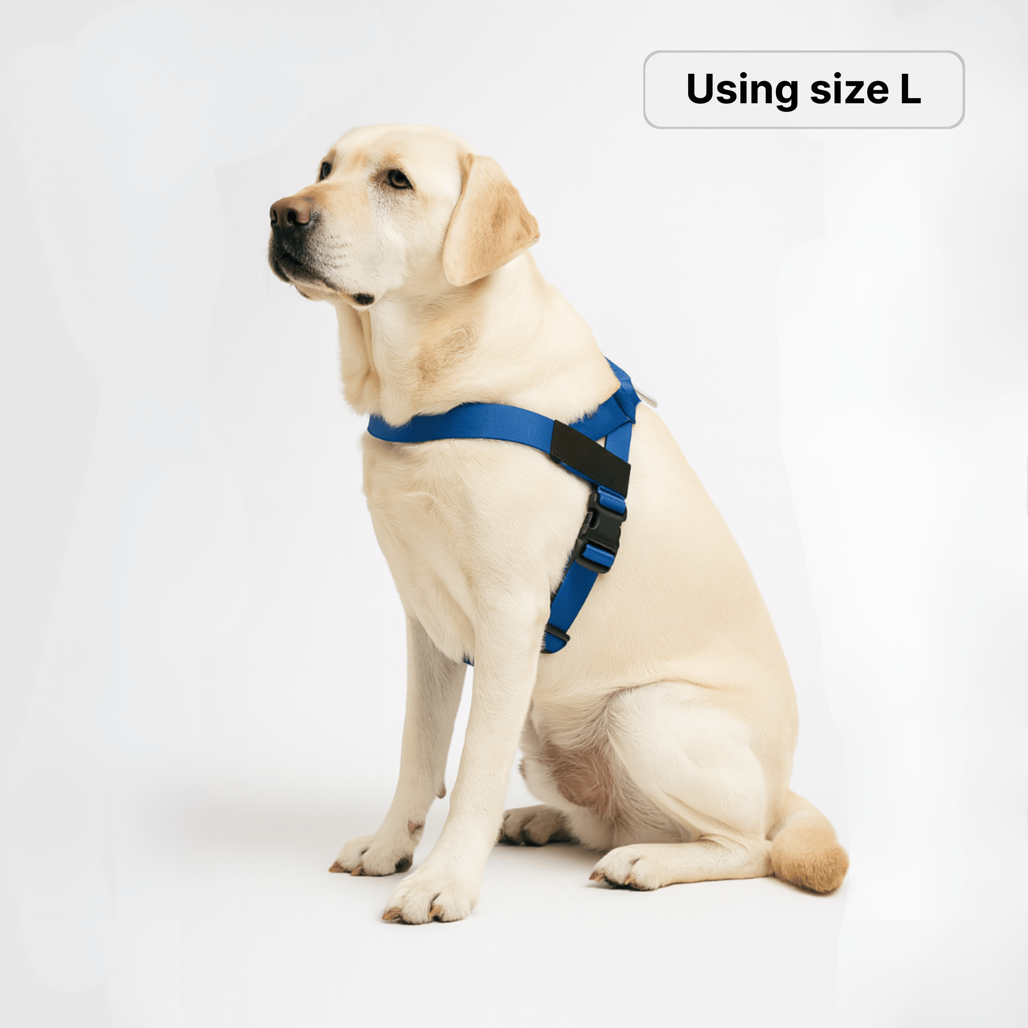 harness- CalmFlow™ Technology-  DarK Blue