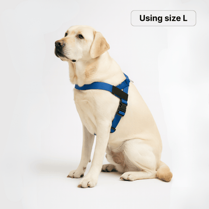 harness- CalmFlow™ Technology-  DarK Blue