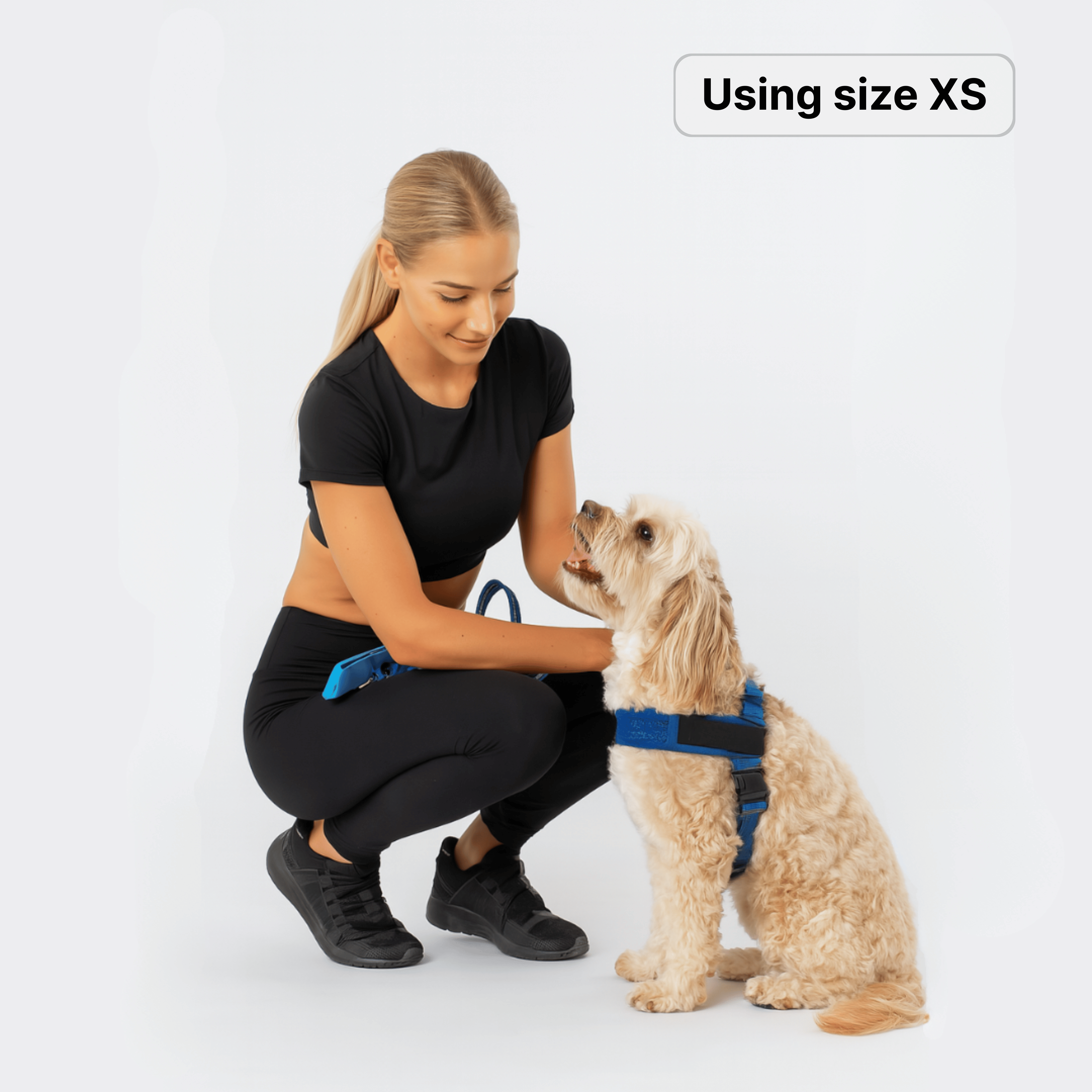 harness- CalmFlow™ Technology-  DarK Blue