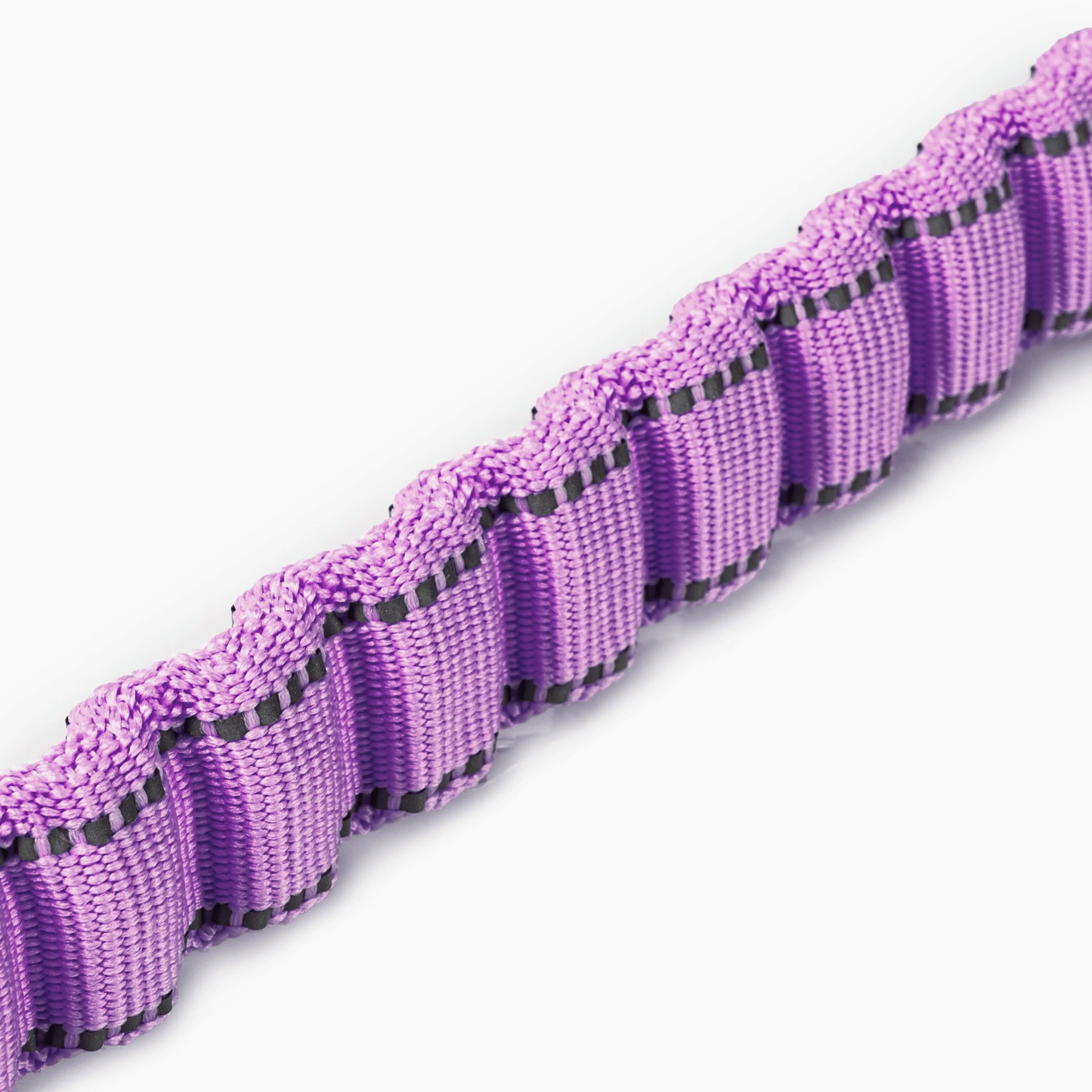 Purple dog leash with a metal carabiner on a white background