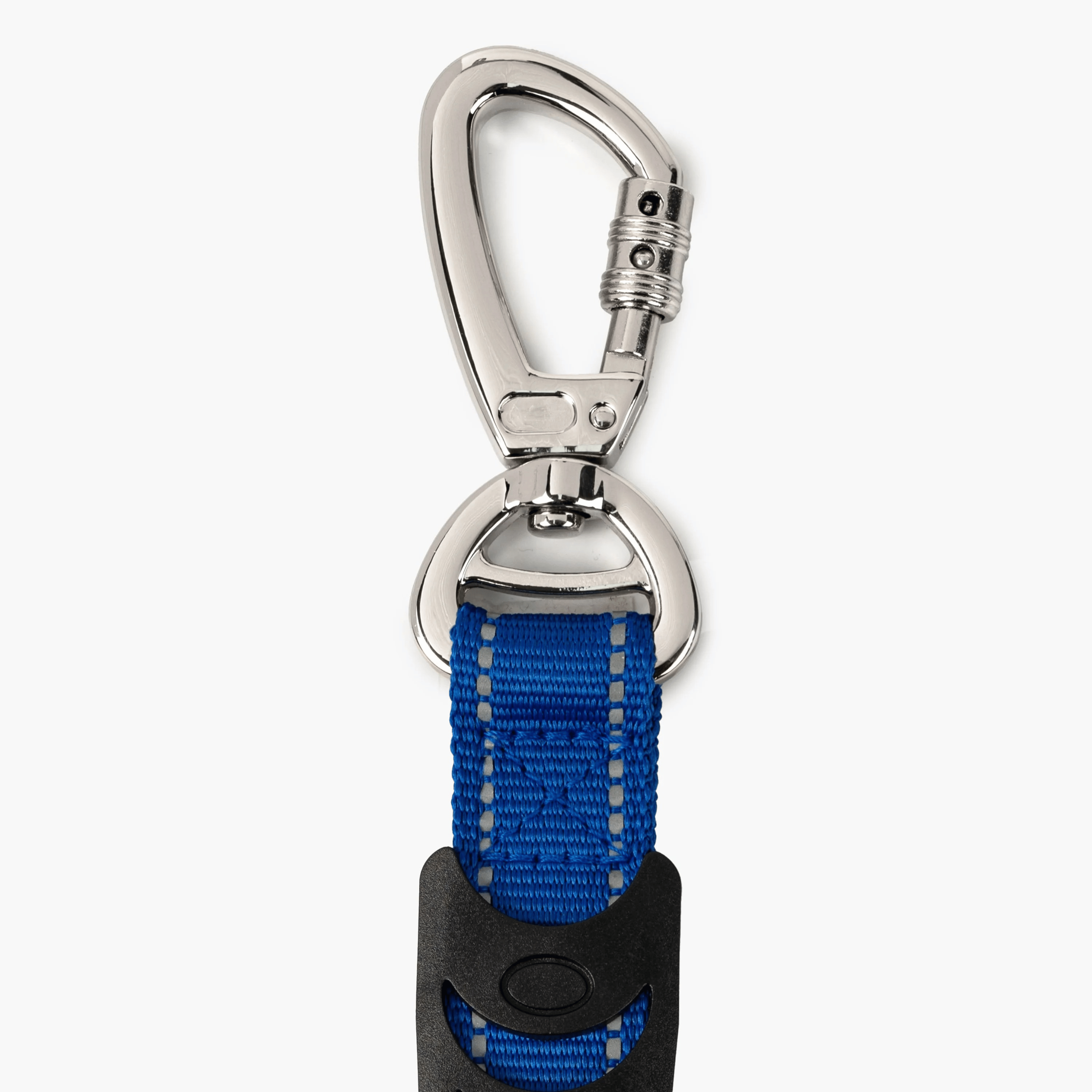 Blue dog leash with a metal clip on a white background