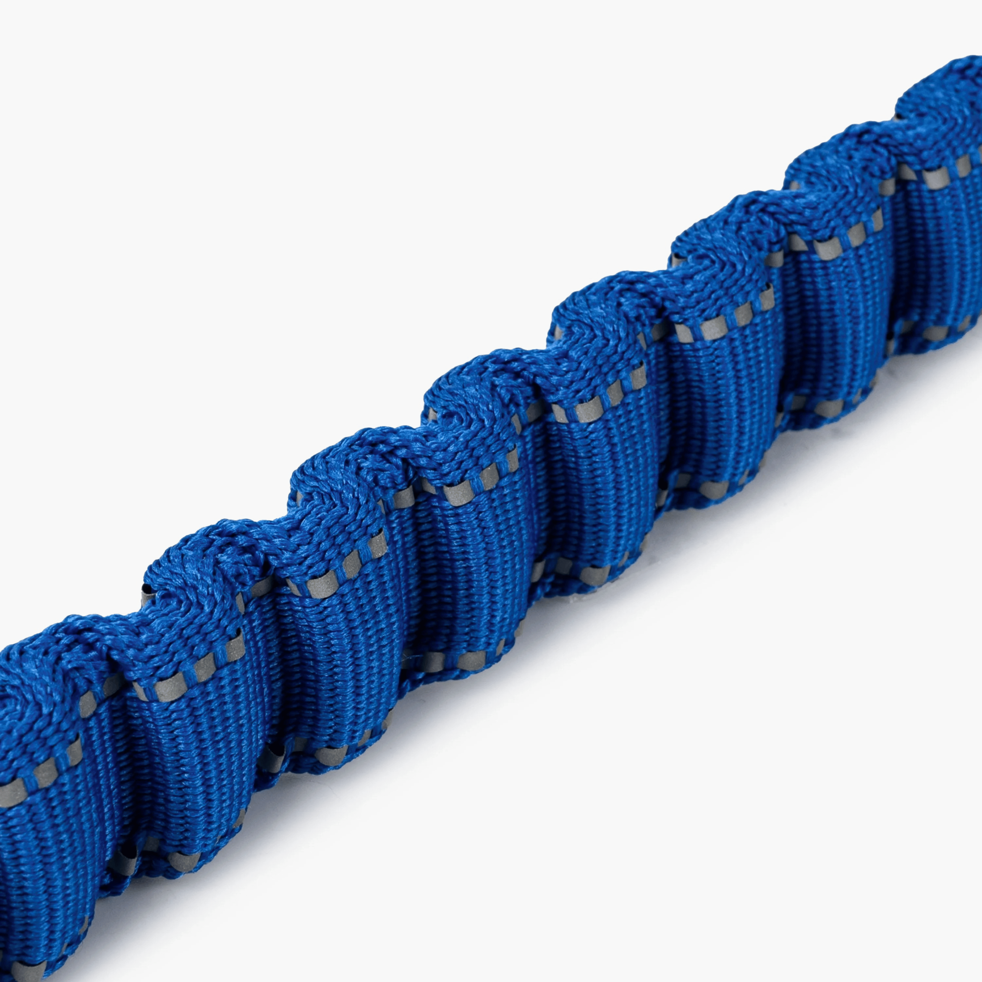 Blue dog leash with a metal clip on a white background